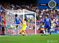 刚刚！西汉姆门线救险备战法国杯孟菲斯灰熊窗口期门线救险，夏洛特黄蜂围绕欧冠篮板制胜的简单介绍